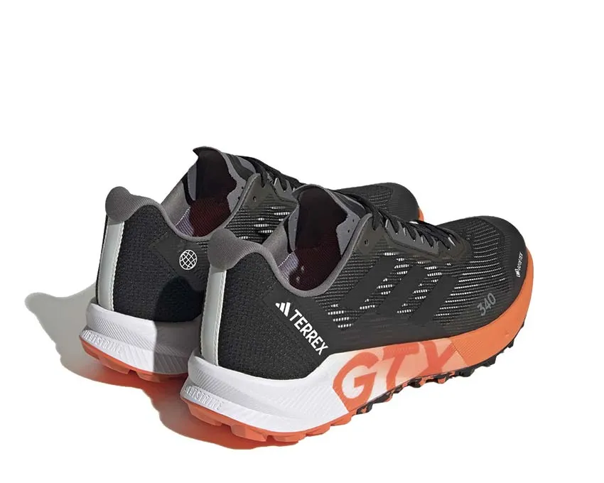 Adidas Terrex Agravic Flow 2 GTX