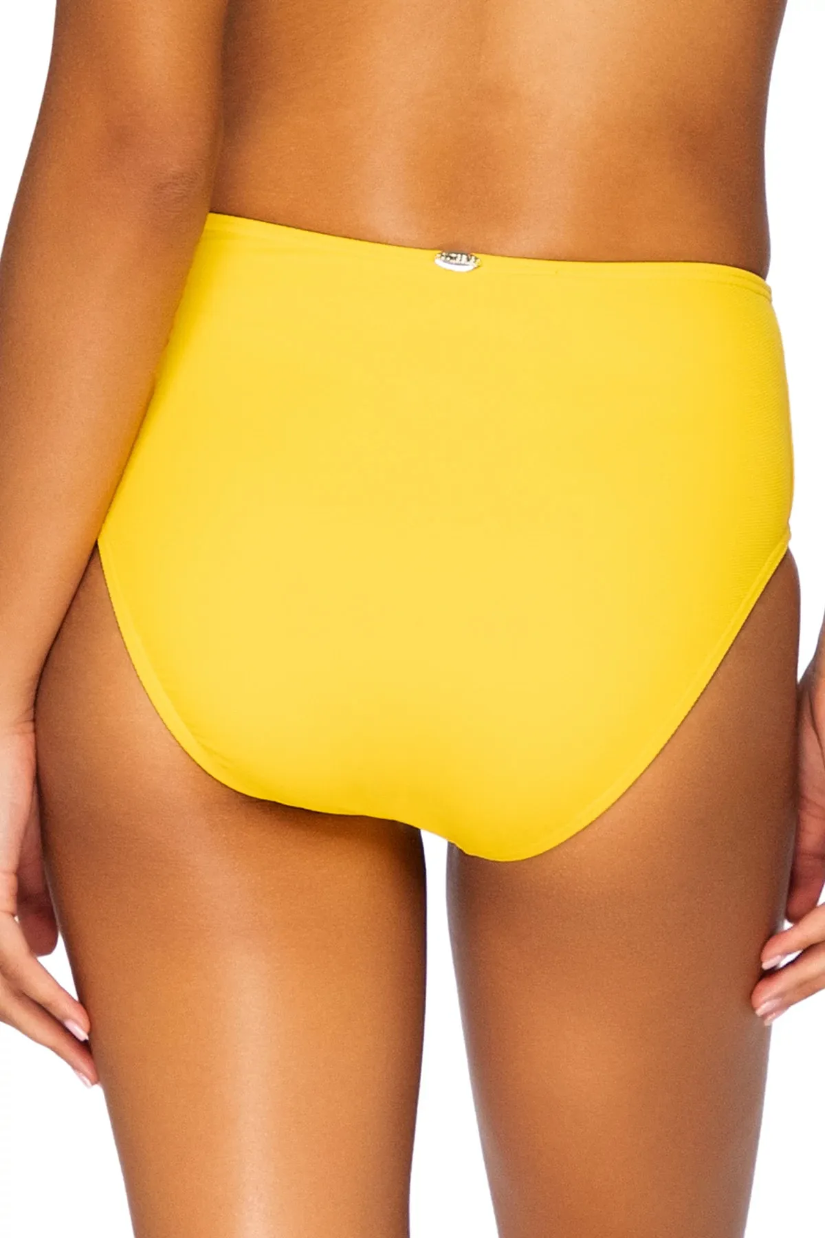 High Road Banded High Waist Bikini Bottom