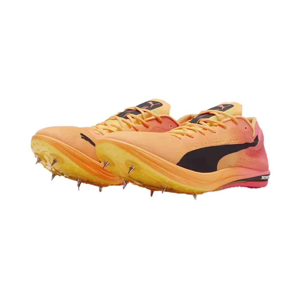 Men's Evospeed Long Distance Nitro Elite 2 Spike - Sun Stream/Sunset Glow/PUMA Black - Regular (D)