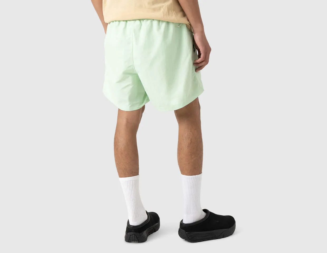 Nike ACG Reservoir Goat Shorts Vapor Green / Summit White